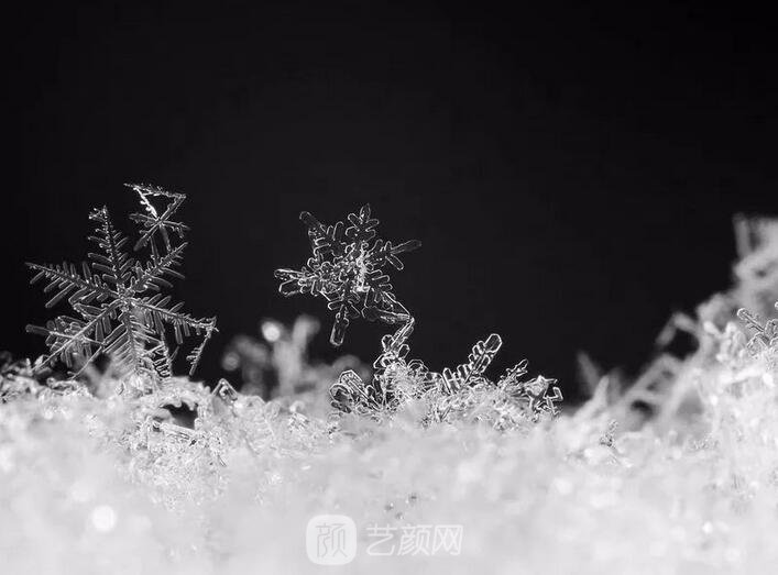 整形醫(yī)生手記(三):再厲害的抽脂手術(shù)也經(jīng)不起暴飲暴食