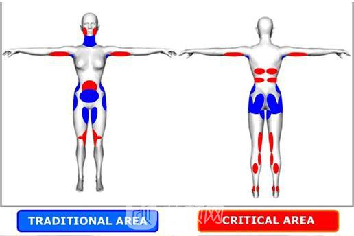 光纖溶脂多少錢?