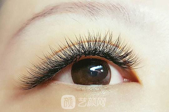 睫毛種植多少錢(qián)?