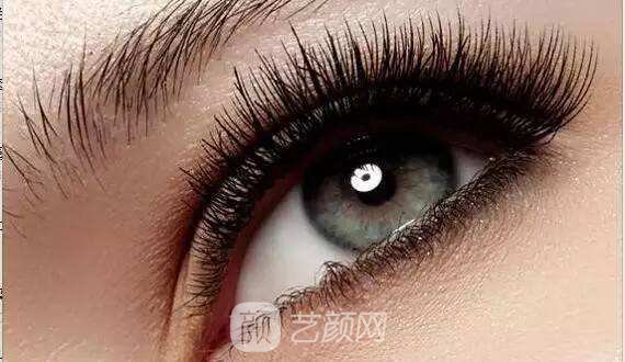 南京睫毛種植多少錢?