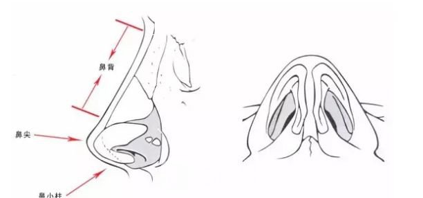 【假體隆鼻能維持多久？術(shù)后10年需每年檢測(cè)一次價(jià)格幾千到幾萬(wàn)不等~】