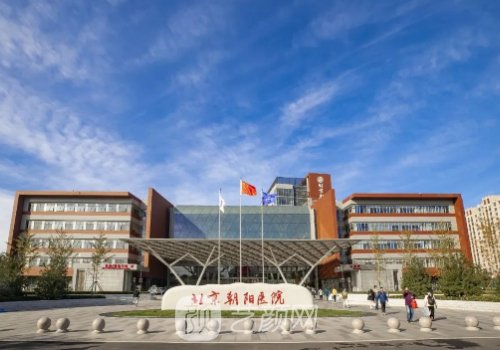 北京朝陽醫(yī)院整形科價格