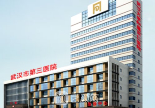 武漢腹壁整形術(shù)最好的醫(yī)