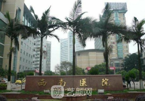 西南醫(yī)院植發(fā)價(jià)格貴嗎?自