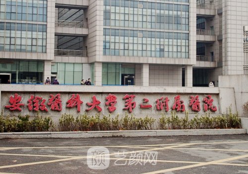 安醫(yī)二附院整形外科雙眼