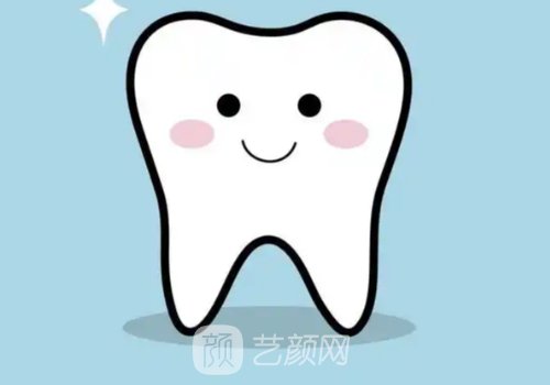 純鈦金屬牙齒多少錢一顆