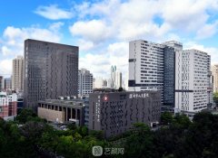 深圳公立醫(yī)院整形科排名