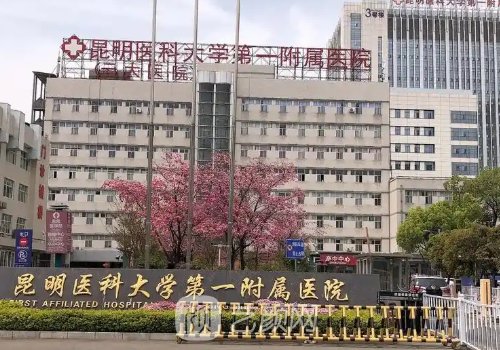 昆明植發(fā)正規(guī)公立醫(yī)院介